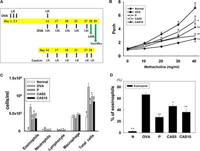 Protective Effects of Casticin From Vitex trifolia Alleviate Eosinophilic Airway Inflammation and Oxidative Stress in a Murine Asthma Model